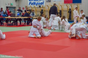 20160331 Bild 5 - Annalinnea Ottosson